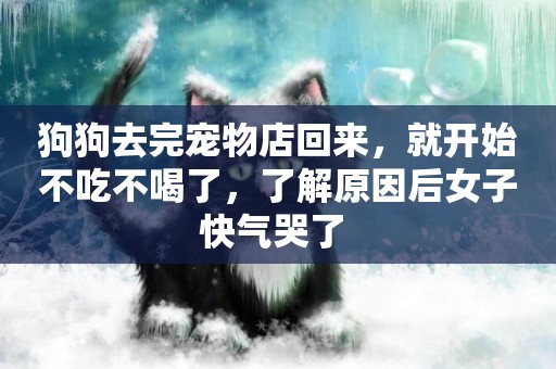 狗狗去完寵物店回來，就開始不吃不喝了，了解原因后女子快氣哭了 