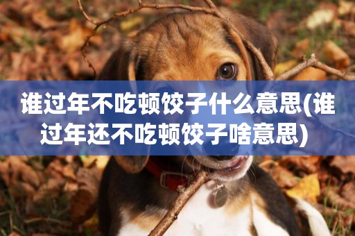 誰過年不吃頓餃子什么意思(誰過年還不吃頓餃子啥意思) 