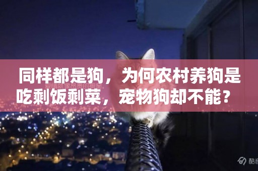 同樣都是狗，為何農村養狗是吃剩飯剩菜，寵物狗卻不能？ 