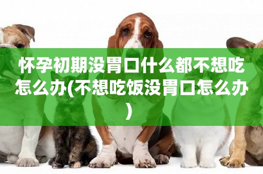 懷孕初期沒胃口什么都不想吃怎么辦(不想吃飯沒胃口怎么辦) 
