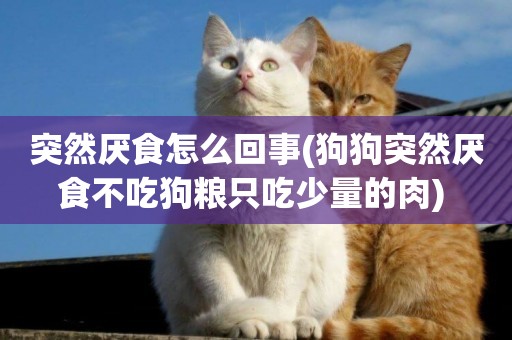 突然厭食怎么回事(狗狗突然厭食不吃狗糧只吃少量的肉) 