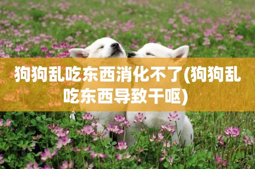 狗狗亂吃東西消化不了(狗狗亂吃東西導致干嘔) 