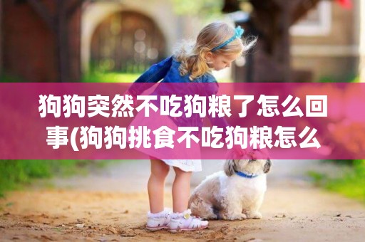 狗狗突然不吃狗糧了怎么回事(狗狗挑食不吃狗糧怎么辦) 