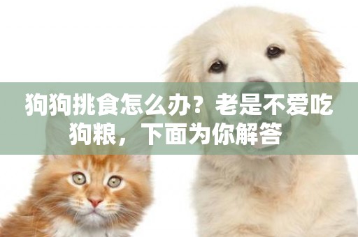 狗狗挑食怎么辦？老是不愛吃狗糧，下面為你解答 