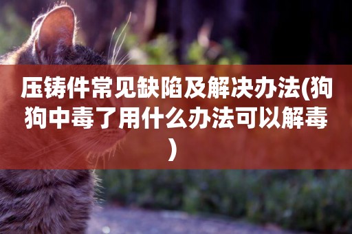 壓鑄件常見缺陷及解決辦法(狗狗中毒了用什么辦法可以解毒) 