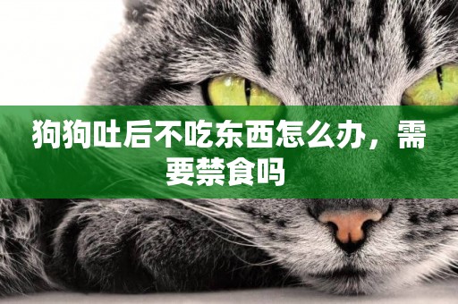 狗狗吐后不吃東西怎么辦，需要禁食嗎 