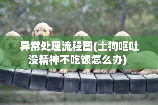 異常處理流程圖(土狗嘔吐沒精神不吃飯怎么辦) 