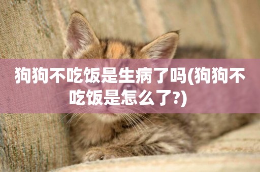 狗狗不吃飯是生病了嗎(狗狗不吃飯是怎么了?) 