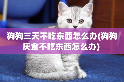 狗狗三天不吃東西怎么辦(狗狗厭食不吃東西怎么辦) 