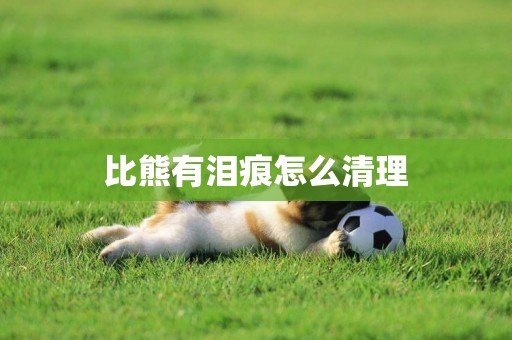 比熊有淚痕怎么清理