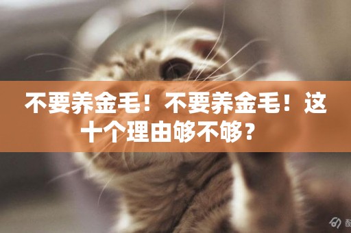 不要養金毛！不要養金毛！這十個理由夠不夠？ 