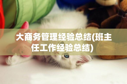 大商務管理經驗總結(班主任工作經驗總結) 