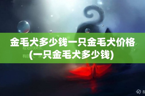 金毛犬多少錢一只金毛犬價格(一只金毛犬多少錢) 