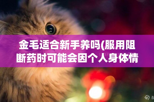 金毛適合新手養嗎(服用阻斷藥時可能會因個人身體情況不同而出現不同程度的藥物反應) 