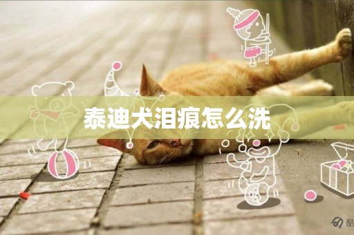 泰迪犬淚痕怎么洗