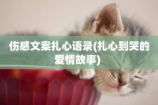 傷感文案扎心語錄(扎心到哭的愛情故事) 