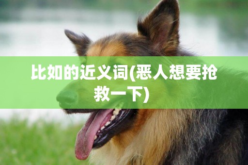 比如的近義詞(惡人想要搶救一下) 