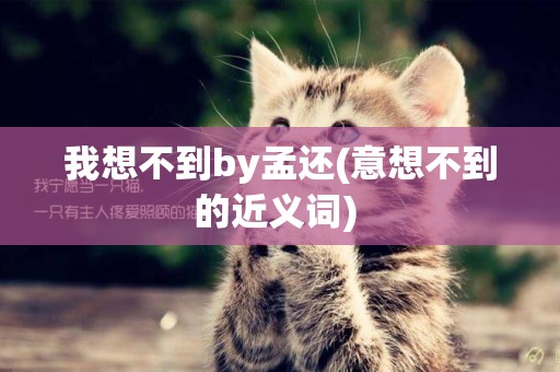 我想不到by孟還(意想不到的近義詞) 