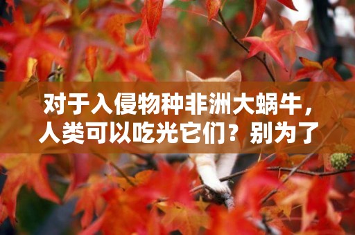 對于入侵物種非洲大蝸牛，人類可以吃光它們？別為了食欲鋌而走險 