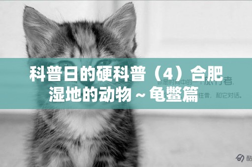 科普日的硬科普（4）合肥濕地的動物～龜鱉篇 