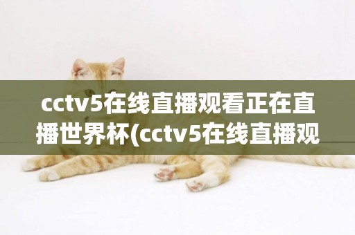 cctv5在線直播觀看正在直播世界杯(cctv5在線直播觀看正在直播) 