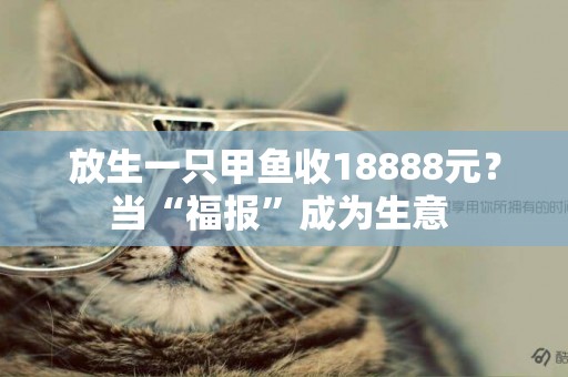 放生一只甲魚收18888元？當“福報”成為生意 
