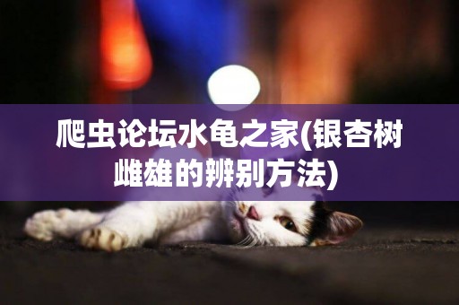 爬蟲論壇水龜之家(銀杏樹雌雄的辨別方法) 