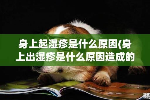 身上起濕疹是什么原因(身上出濕疹是什么原因造成的) 