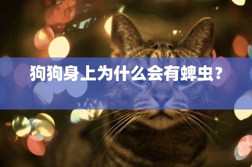狗狗身上為什么會有蜱蟲？ 