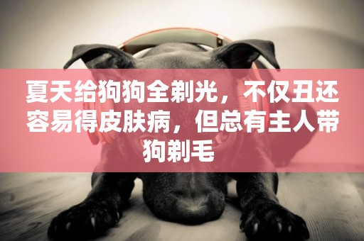 夏天給狗狗全剃光，不僅丑還容易得皮膚病，但總有主人帶狗剃毛 