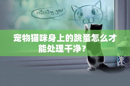 寵物貓咪身上的跳蚤怎么才能處理干凈？ 