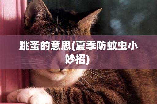 跳蚤的意思(夏季防蚊蟲小妙招) 