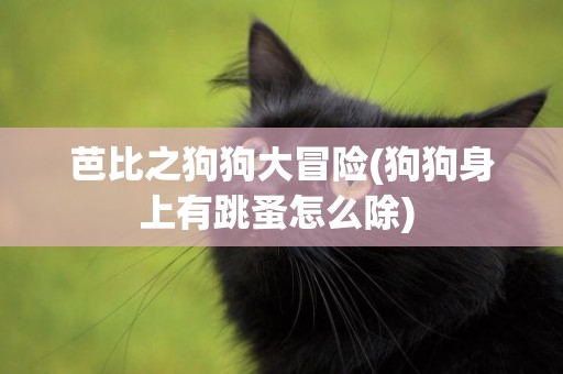芭比之狗狗大冒險(狗狗身上有跳蚤怎么除) 