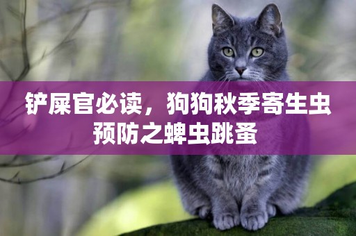 鏟屎官必讀，狗狗秋季寄生蟲預防之蜱蟲跳蚤 
