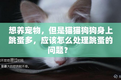 想養寵物，但是貓貓狗狗身上跳蚤多，應該怎么處理跳蚤的問題？ 