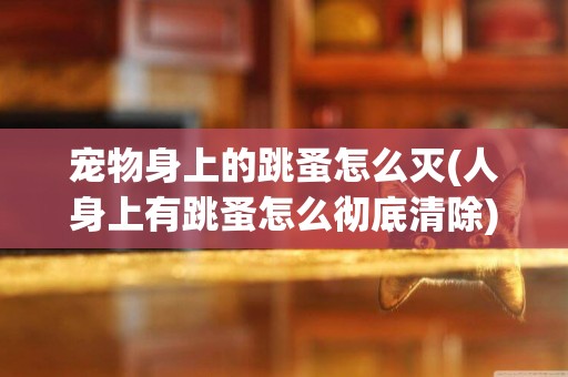 寵物身上的跳蚤怎么滅(人身上有跳蚤怎么徹底清除) 