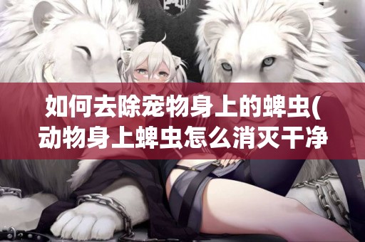 如何去除寵物身上的蜱蟲(動物身上蜱蟲怎么消滅干凈) 