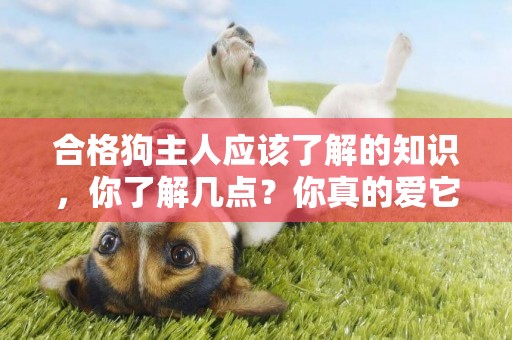 合格狗主人應該了解的知識，你了解幾點？你真的愛它嗎？ 