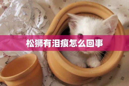 松獅有淚痕怎么回事