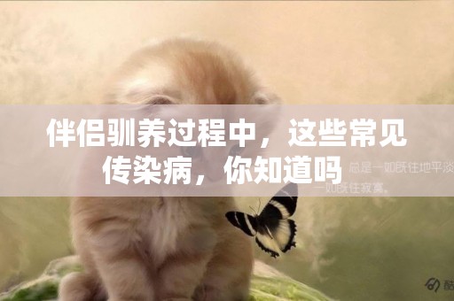 伴侶馴養過程中，這些常見傳染病，你知道嗎 