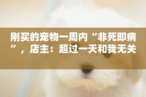 剛買的寵物一周內“非死即病”，店主：超過一天和我無關 