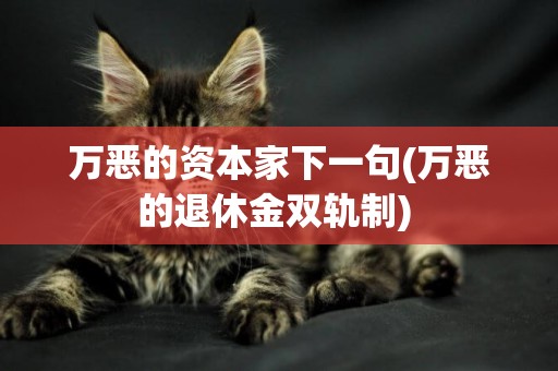 萬惡的資本家下一句(萬惡的退休金雙軌制) 