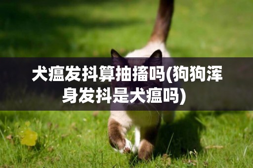 犬瘟發抖算抽搐嗎(狗狗渾身發抖是犬瘟嗎) 