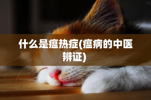 什么是瘟熱癥(瘟病的中醫辨證) 