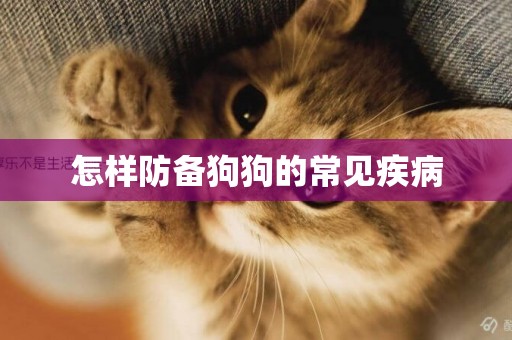 怎樣防備狗狗的常見疾病