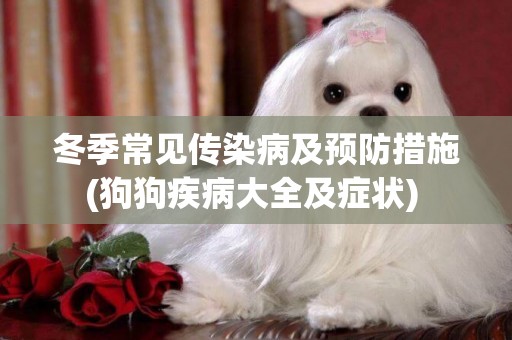 冬季常見傳染病及預防措施(狗狗疾病大全及癥狀) 