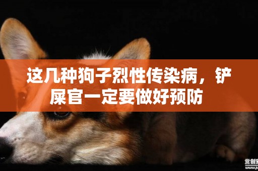 這幾種狗子烈性傳染病，鏟屎官一定要做好預防 