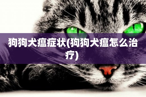 狗狗犬瘟癥狀(狗狗犬瘟怎么治療) 