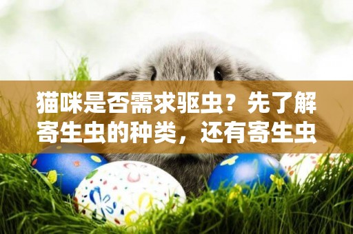 貓咪是否需求驅蟲？先了解寄生蟲的種類，還有寄生蟲的傳播途徑 