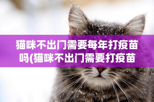 貓咪不出門需要每年打疫苗嗎(貓咪不出門需要打疫苗嗎) 